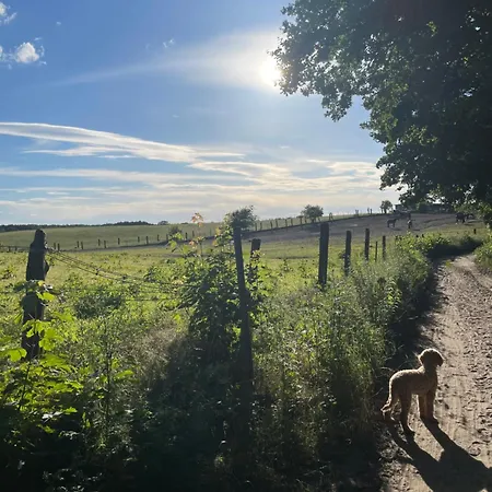 Stilvolles Naturidyll Bei Berlin