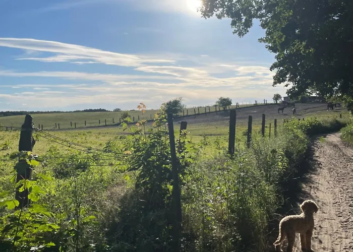 Stilvolles Naturidyll Bei Berlin